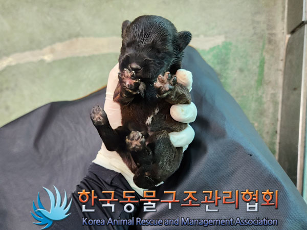 한국동물구조관리협회_441560202301306